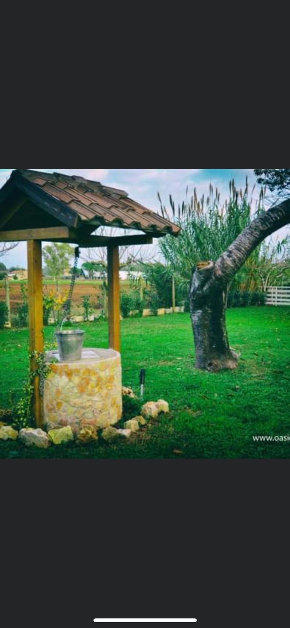 Oasi Di Francesca B&B Понтиния Экстерьер фото