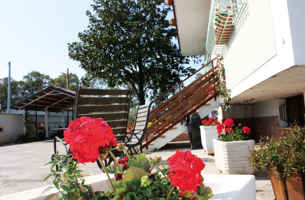 Oasi Di Francesca B&B Понтиния Номер фото