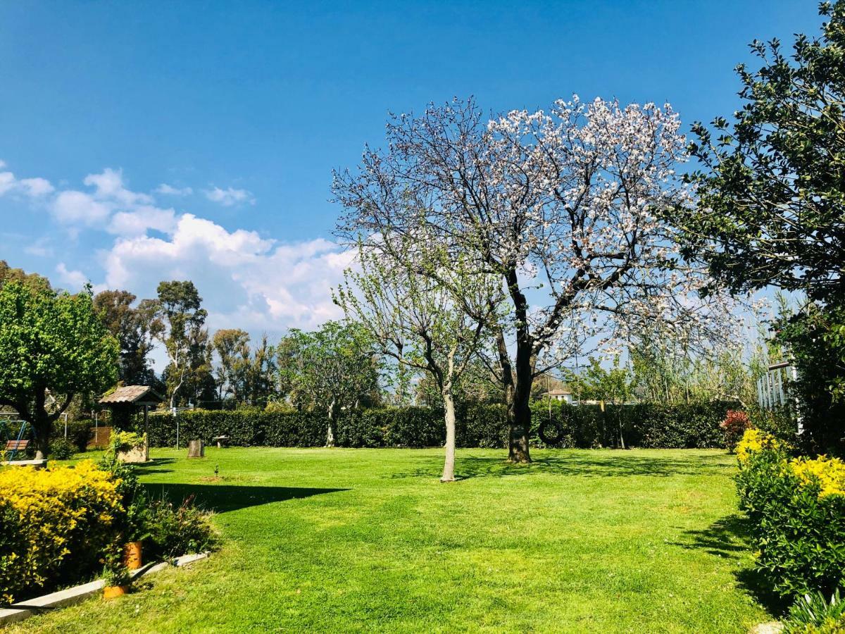 Oasi Di Francesca B&B Понтиния Экстерьер фото